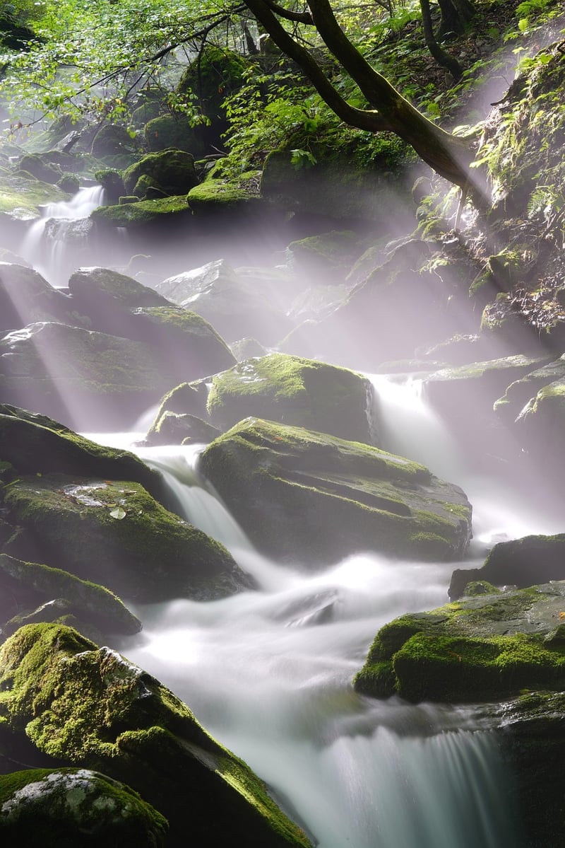 River at Whispering Falls